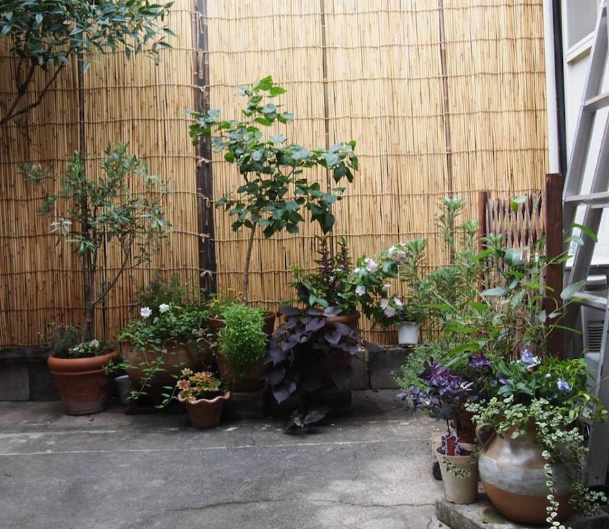 Guesthouse Usagi-Momiji Kyōto Exterior foto