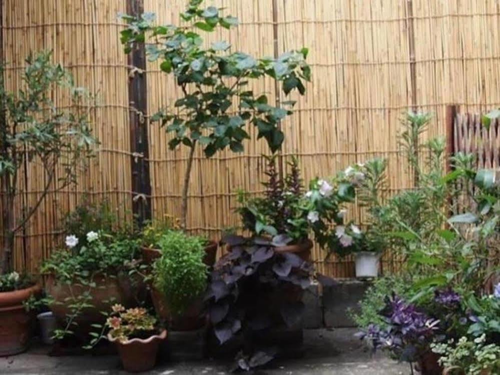 Guesthouse Usagi-Momiji Kyōto Exterior foto